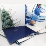 Limited edition Blue Flower square greetings card pack