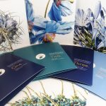 Blaue Blume Greetings Card Pack