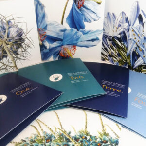 Blaue Blume Greetings Card Pack