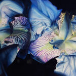 Under the Flower