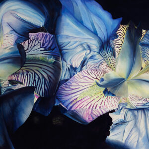 Irises painted by Ursula Romero in watercolour